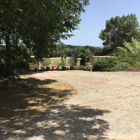 La Barthe Haute Puycalvel Lautrec Esterno foto