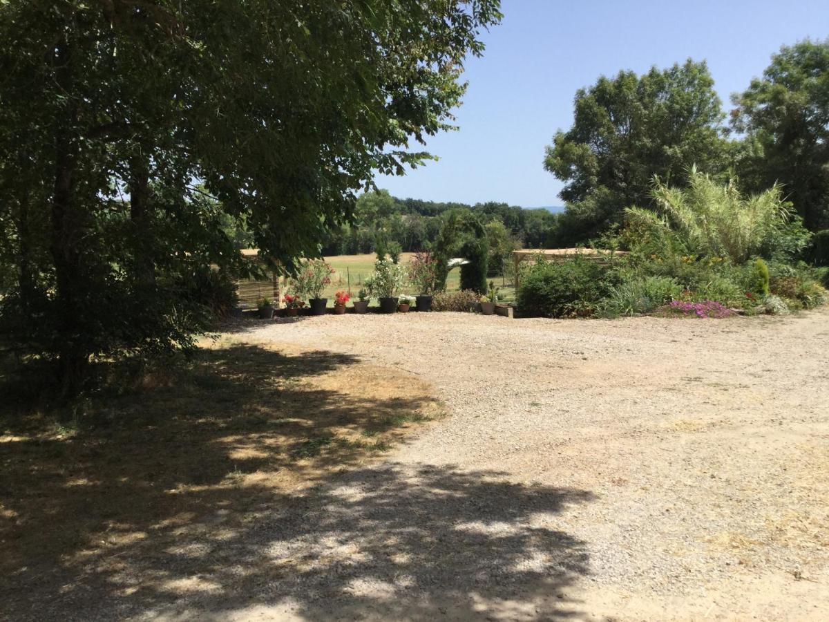 La Barthe Haute Puycalvel Lautrec Esterno foto